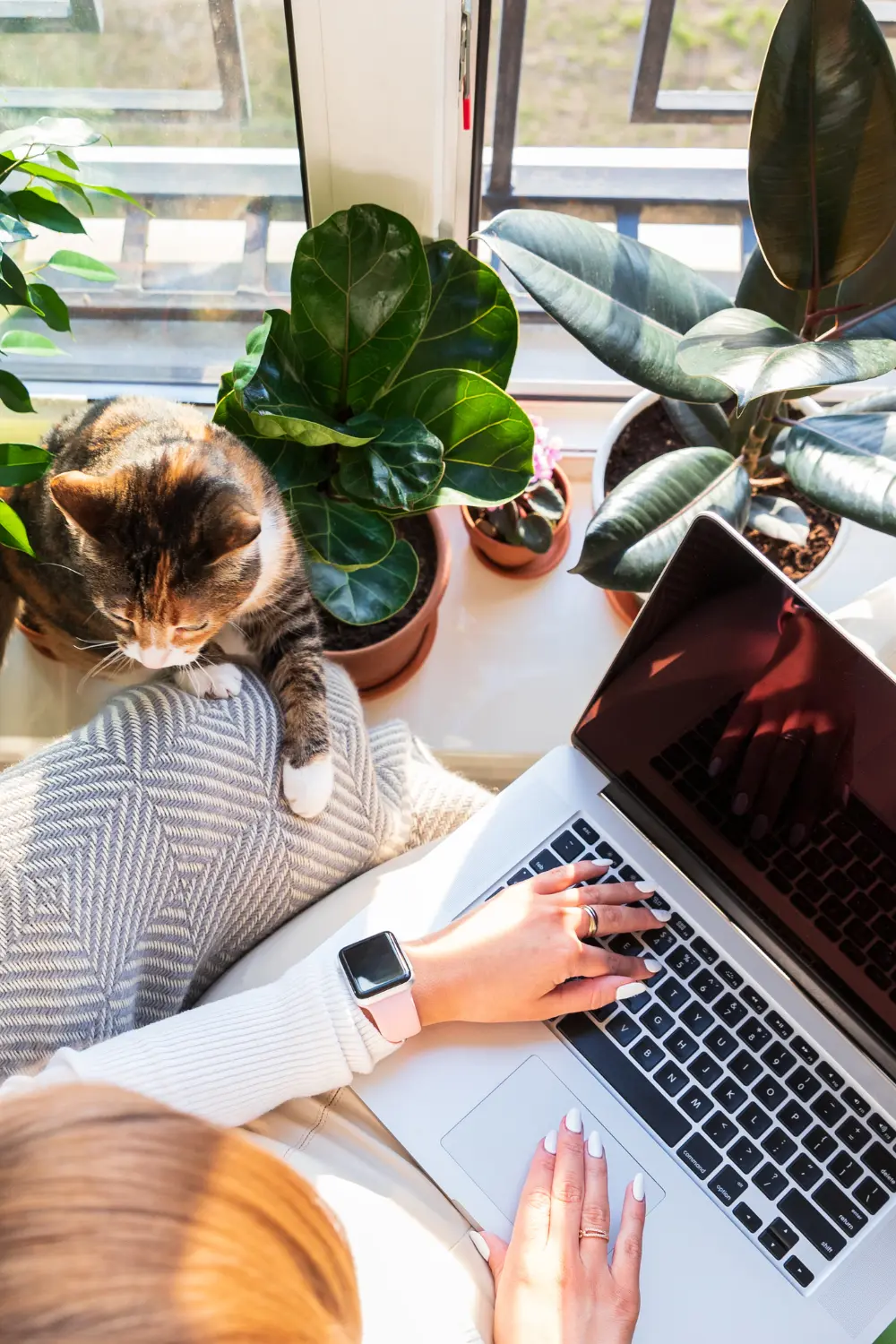 freelance travaille sur ordinateur avec son chat