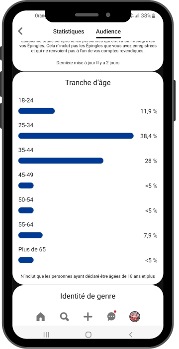 exemple statistiques Pinterest tranche d'âge